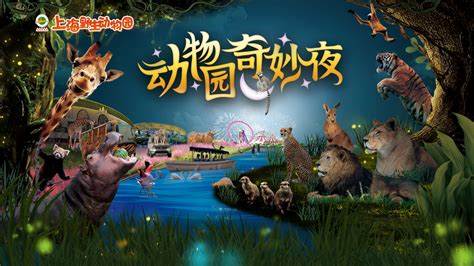 Shanghai's wild animal park launches night safari - Chinadaily.com.cn