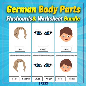 German Body Parts Flashcards & Worksheet Bundle for kids in Prek & kinder.