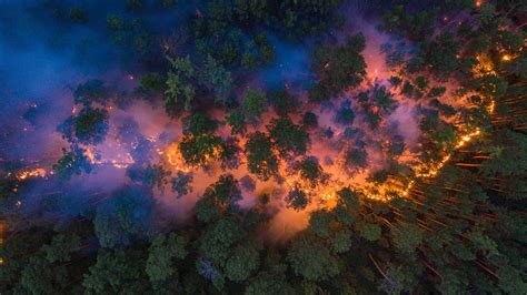 Wildfires rage across Siberia -- "An aerial view shows a forest fire in Krasnoyarsk Region ...