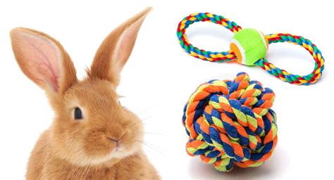 Best DIY Rabbit Toys - Tons of Bunny Fun, For Free!