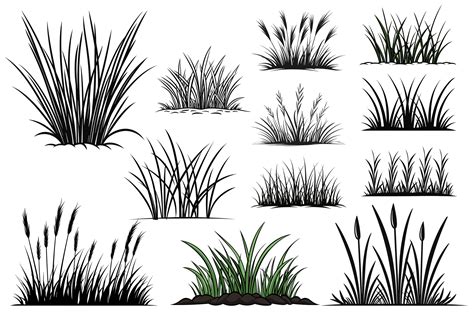 Grass Silhouette - Generative Ai 26912495 PNG