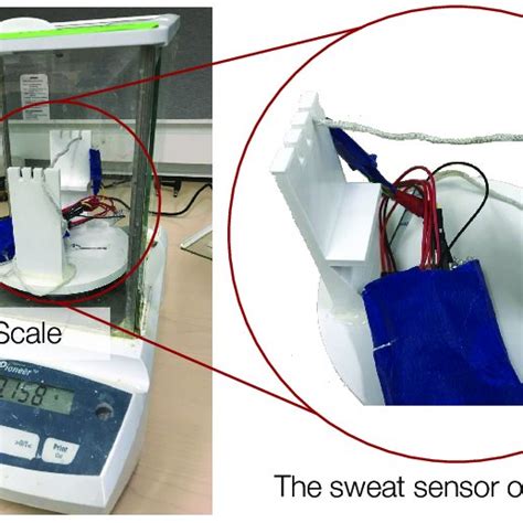 Sensor calibration experiment settings. | Download Scientific Diagram