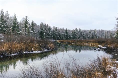 Island camping on lake of the woods : r/camping