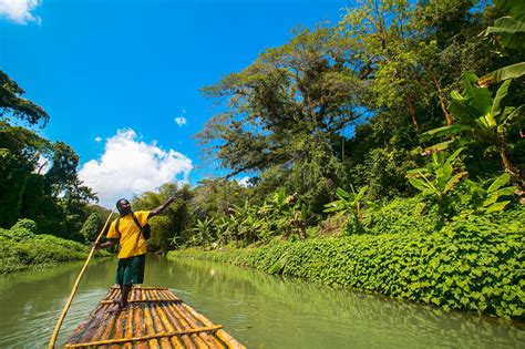 Guide to the Black River Safari, Jamaica | Beaches