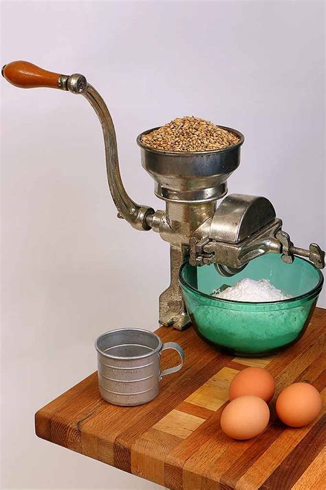 The Best Countertop Grain Mills and Flour Grinders in 2020 | Foodal