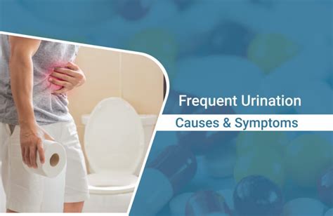 Frequent Urination: Causes, Symptoms, and Treatment