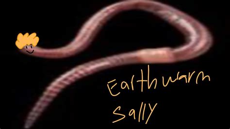 Earthworm sally ||Flamingo animation|| - YouTube