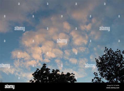 Cirrocumulus clouds 'mackerel sky'' as seen from Stromovka Park, Prague, Czech Republic in the ...