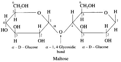 Chemical Structure Of Maltose, Anatomy Of Maltose,, 51% OFF