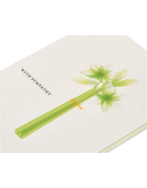 Papyrus Sympathy Card Lilies - Digs N Gifts