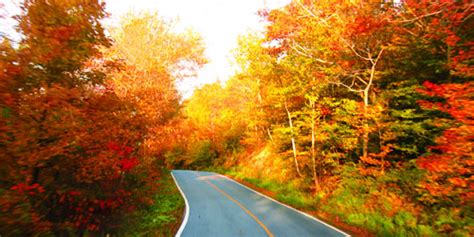 Fall Foliage in Massachusetts 2023 | Visit Massachusetts