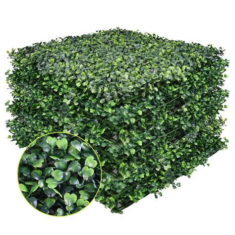 Boxwood Hedge Spacing