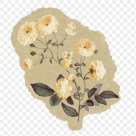 Vintage flowers png sticker, ripped paper, transparent background | free image by rawpixel.com ...