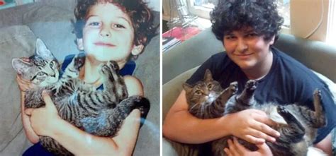 42 Of The Greatest Before-And-After Photos Of Cats To Have Ever Graced The Internet – Pulptastic