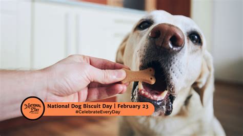 NATIONAL DOG BISCUIT DAY - February 23 - National Day Calendar