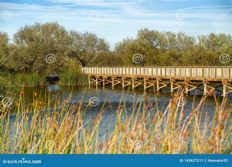 Rustic Wooden Bridge through the Lake Stock Image - Image of pier, oceano: 143627511