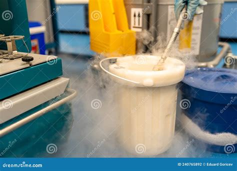 Experiments in a Laboratory with Liquid Nitrogen Stock Photo - Image of professional, restaurant ...