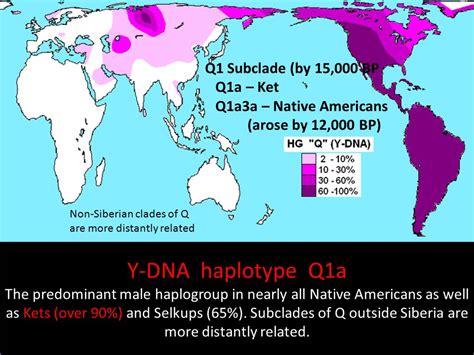 Assessing the Sino-Caucasian Hypothesis - ppt download