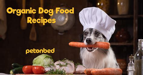 Best Organic Dog Food Recipes That Are Super Easy to Make | PetonBed