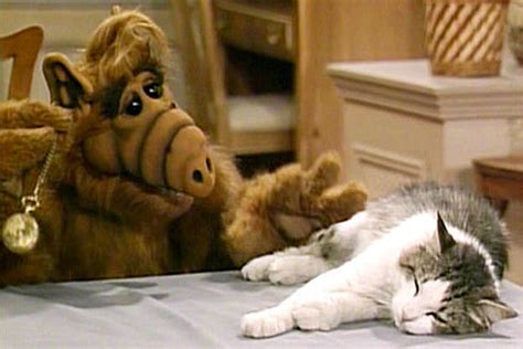 The Guy Who Made 'Alf' Thinks We're Ready For an 'Alf' Movie