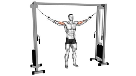 8 Cable Trap Exercises To Sculpt Strong And Defined Traps - Workout Guru