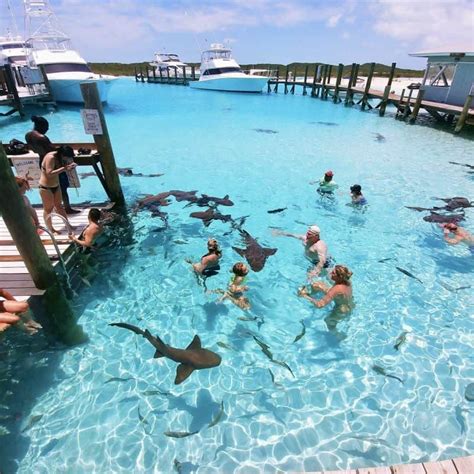 Top Things to do in Exuma Bahamas: Travel Guide | Dream vacations destinations, Bahamas travel ...