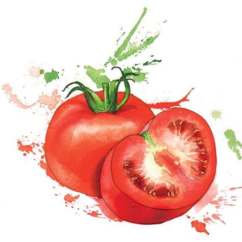 Vegetables - Georgina Luck | Vegetable painting, Vegetable drawing, Fruit painting