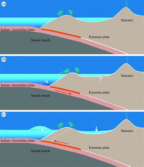 Megathrust Earthquake Animation