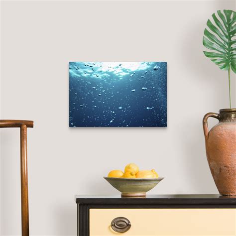 Bubbles underwater Wall Art, Canvas Prints, Framed Prints, Wall Peels | Great Big Canvas