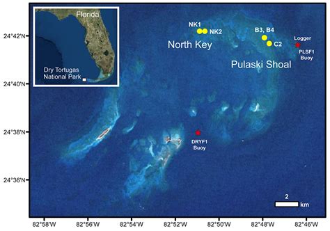 Data Release - Sr/Ca and Linear Extension Data for Five Modern O. faveolata Colonies from Dry ...