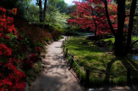 Japanese Zen Garden: Zen Bridge - Pond - Path