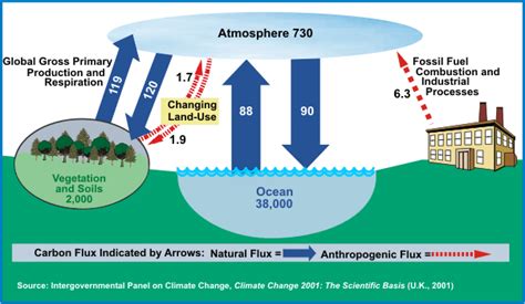 Most Of The Rise In CO2 Likely Comes From Natural Sources