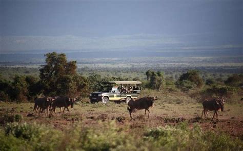 Tortilis Safari Camp, Amboseli, Kenya