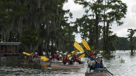 3 amazing things about the Atchafalaya Basin