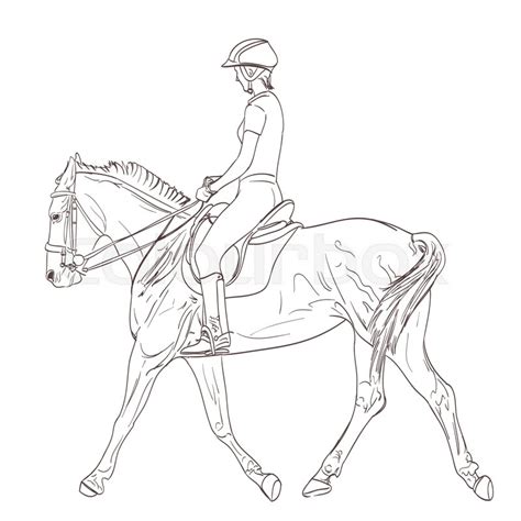 Horse And Rider Sketch at PaintingValley.com | Explore collection of Horse And Rider Sketch