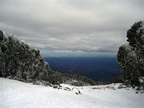 Baw Baw National Park - Alchetron, The Free Social Encyclopedia