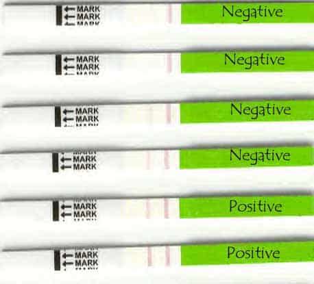 How to use Ovulation Tests OPK | Ovulation tests NZ