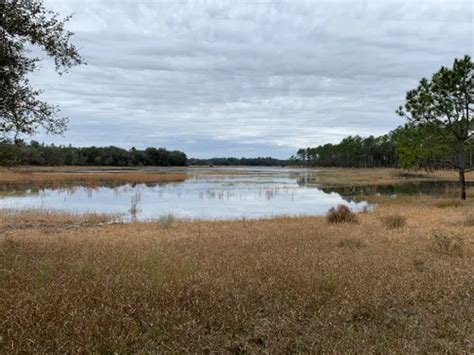 Best Lake Trails in Newberry | AllTrails