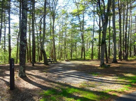 Nickerson State Park Campground 6 Reviews updated 2024