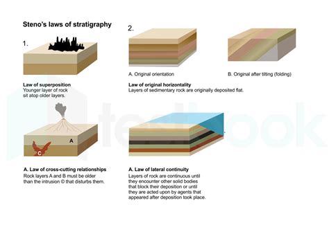 [SOLVED] What is Stratigraphy? - Self Study 365