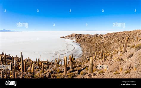 Cactus island on Salar de Uyuni (Salt Flat) near Uyuni, Bolivia Stock Photo - Alamy