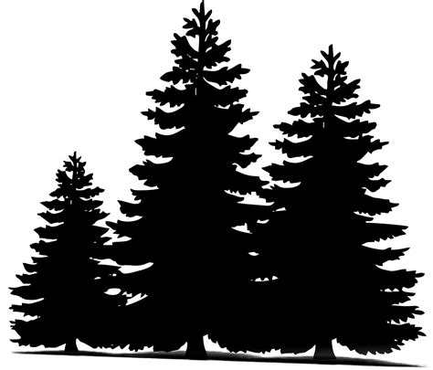 松树 树木 圣诞 - Pixabay上的免费图片 - Pixabay