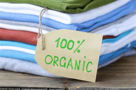 4 Eco-friendly Clothing Brands You Need To Know About