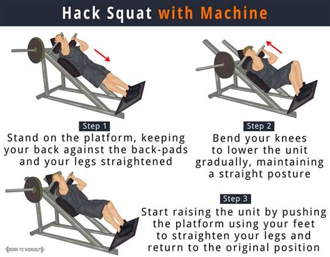 Machine Hack Squat: What is it, Benefits, Alternatives, How to do