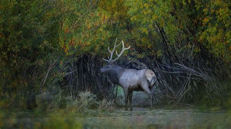 Photos Mongolia | Conservation Photography | Photo Tours and Workshops in Mongolia