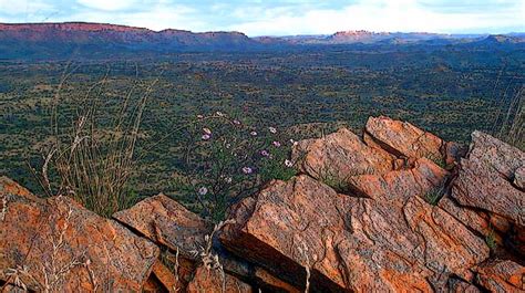 Larapinta Trail, Alice Springs