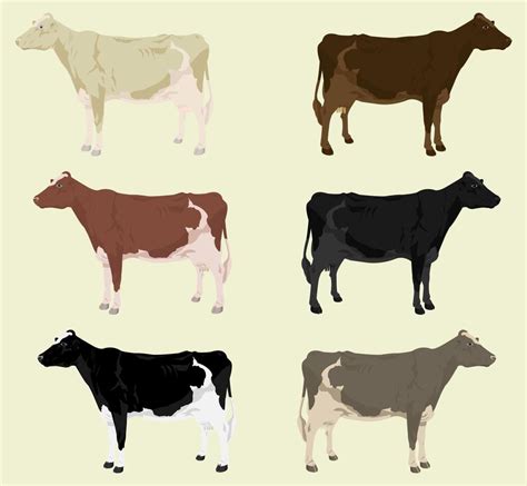 Jersey Cow Vector Art, Icons, and Graphics for Free Download