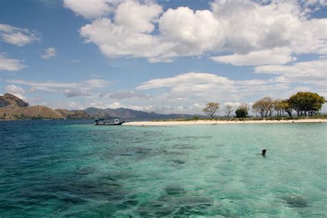 Searching For Komodo Dragons in Indonesia - Heart My Backpack