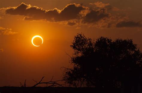 Annular Eclipse 2024 Images - Orel Tracey