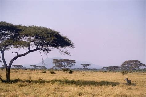 Bamingui-Bangoran National Park and Biosphere Reserve | 国立公園, 世界遺産, 世界